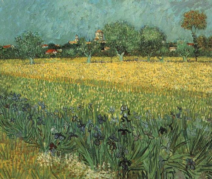 Vincent Van Gogh View of Arles with Irises in the Foreground France oil painting art
